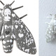 Illustration for article titled Hideous Moth Smoke Detector Saves Lives Instead Of Destroying Clothing